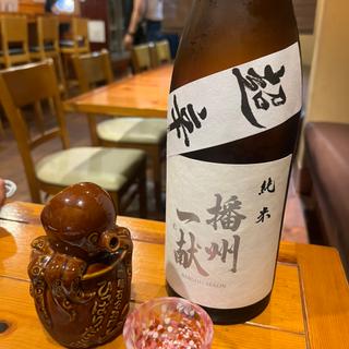 播州一献(創作料理と地酒のお店 坂蔵)