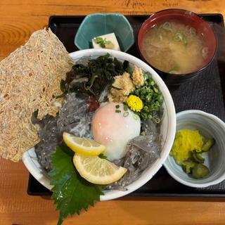 生しらす丼