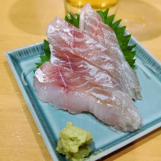 黒鯛(めのじ)