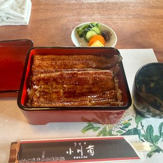 うな重 上(うなぎ 小川菊)