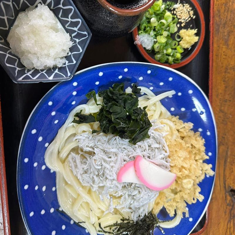 しらすぶっかけうどん(手打うどん福磯 )