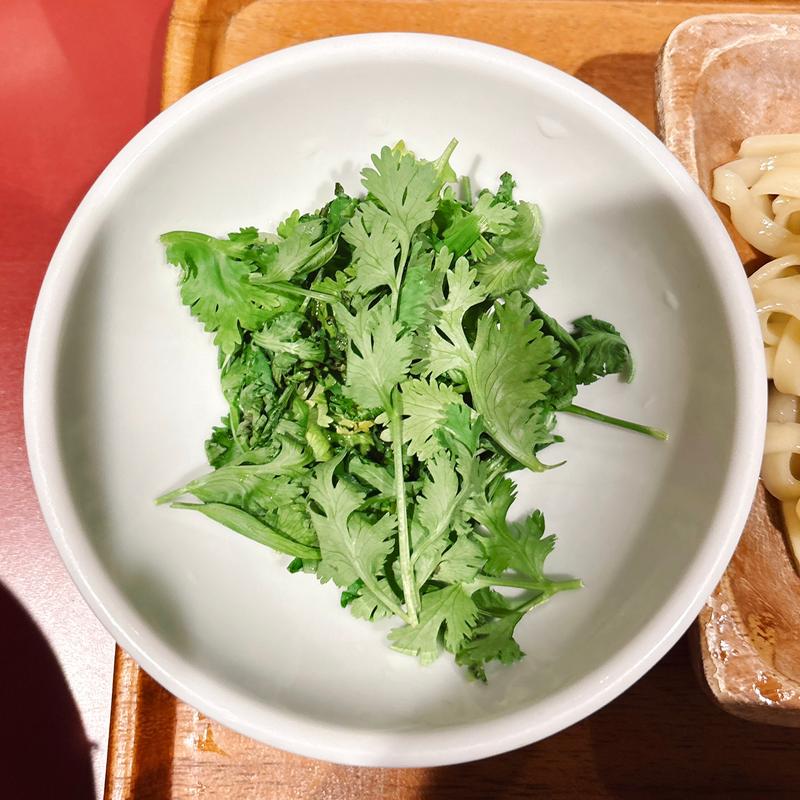 パクチー(限定)(えにし )