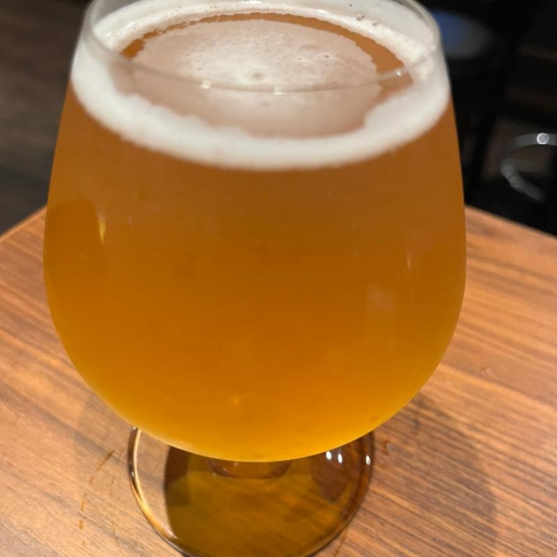 EVERYDAY IPA(NELSON ネルソン CRAFT BAR)