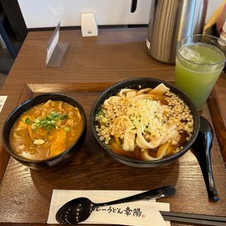 温かけうどんとミニカレーライスセット(カレーうどん幸陽)
