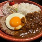 カリーハンバーグディッシュ M