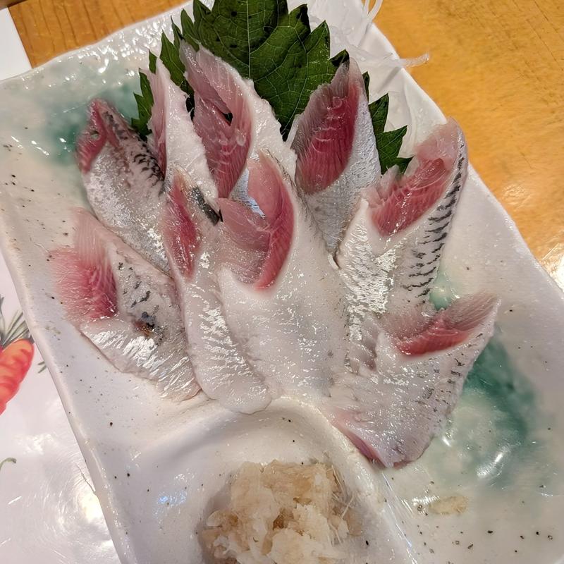 イワシ刺(真琴)