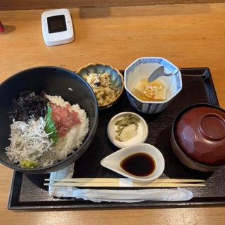 ネギトロ 釜揚げしらす丼御膳