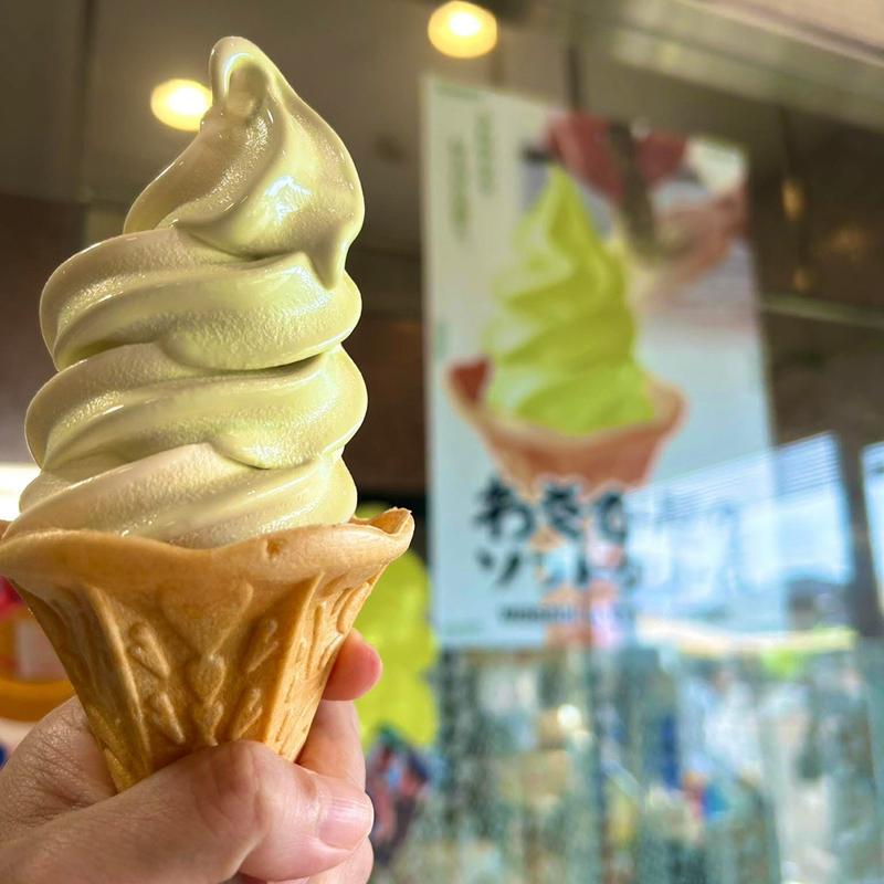 わさびソフト(田丸屋 本店)