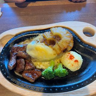 ハンバーグ&コロコロステーキS