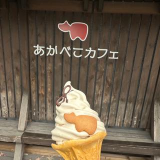 酪王カフェオレソフトクリーム(あかべこカフェ×dolce)