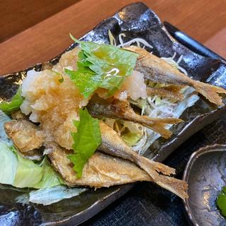 日替りランチ