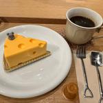 口福のチーズケーキ ホットコーヒー