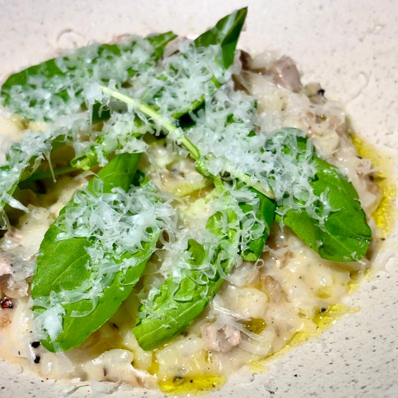 リゾット(Gatto Calico)