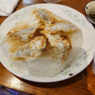 手作りアグー豚の焼き餃子