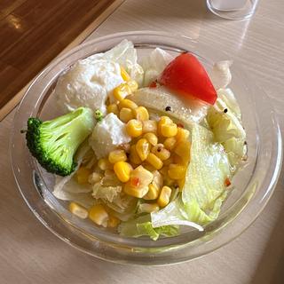 彩りサラダ(ジョイフル桶川店)