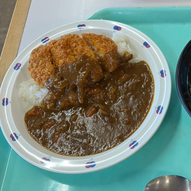 県庁カツカレー(鳥取県庁食堂)