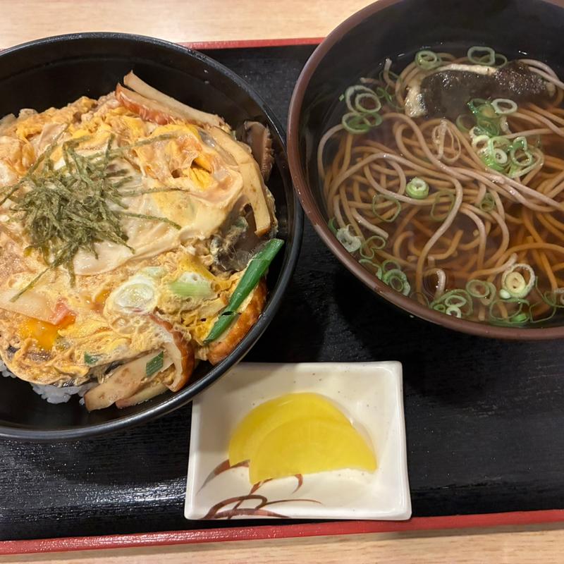 木の葉丼定食(手打信州そば処 こばやし)