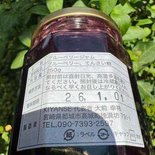 無添加ブルーベリージャム(キヤンセ （KIYANSE）)