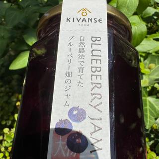 無添加ブルーベリージャム