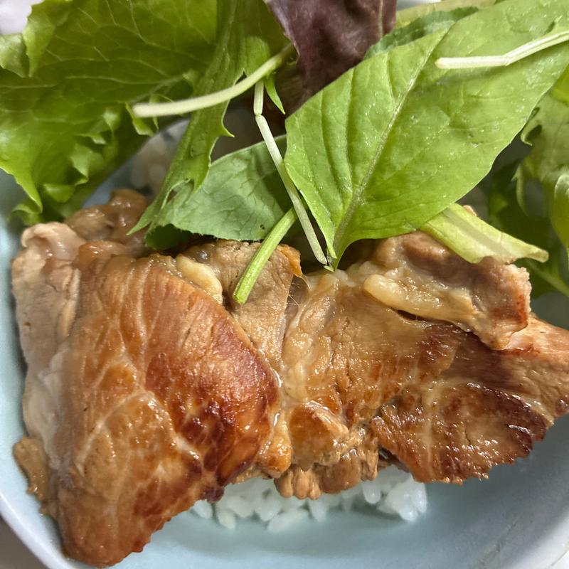 トンテキ弁当(イオン東札幌店)