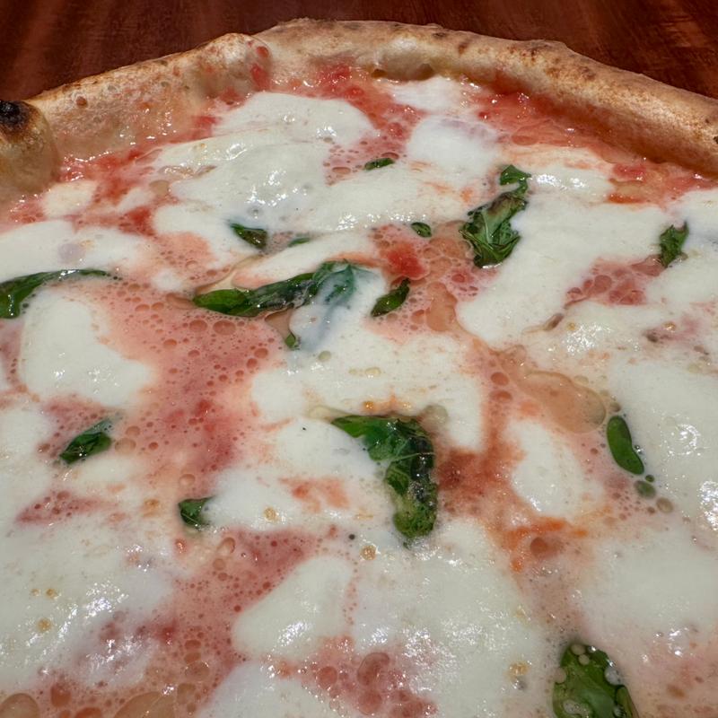 マルゲリータ500(PER TE)