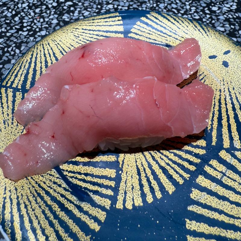 南鮪中とろ(根室花まる 大同生命札幌ビルmiredo店)