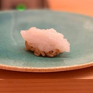白イカ(鮨おにかいたすいち(＋1))