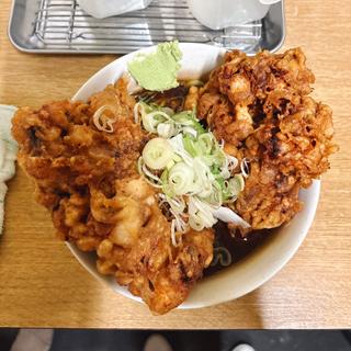 冷そば普通、ジャンボゲソ天、ジャンボゲソ天