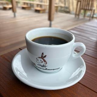 コーヒー
