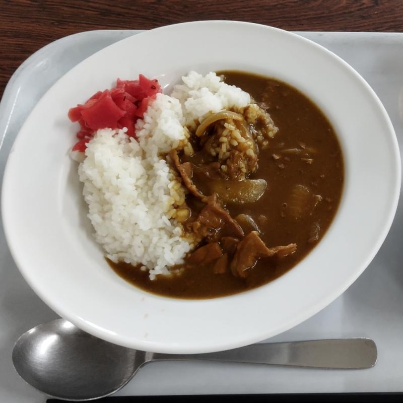 カレーライス(葛飾区役所　食堂 )