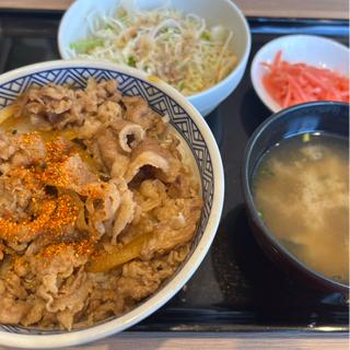 牛丼セット並