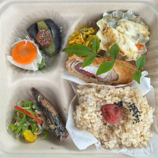 日替わり弁当