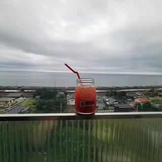 本日のケーキセット