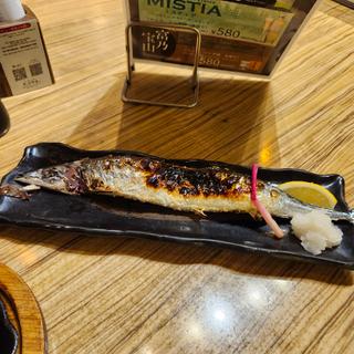 秋刀魚塩焼き　限定