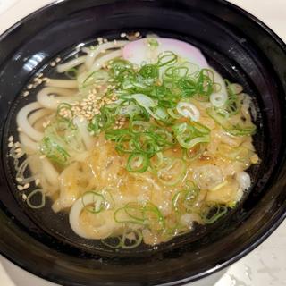 たぬきうどん