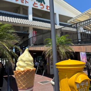 みかんソフト(郷土料理レストラン（道の駅 サザンセトとうわ）)