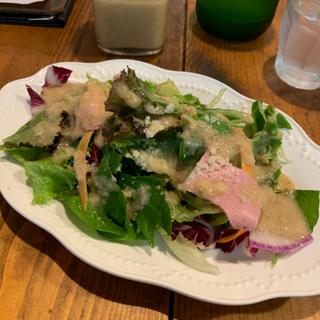 ランチサラダS(ニチーノ)