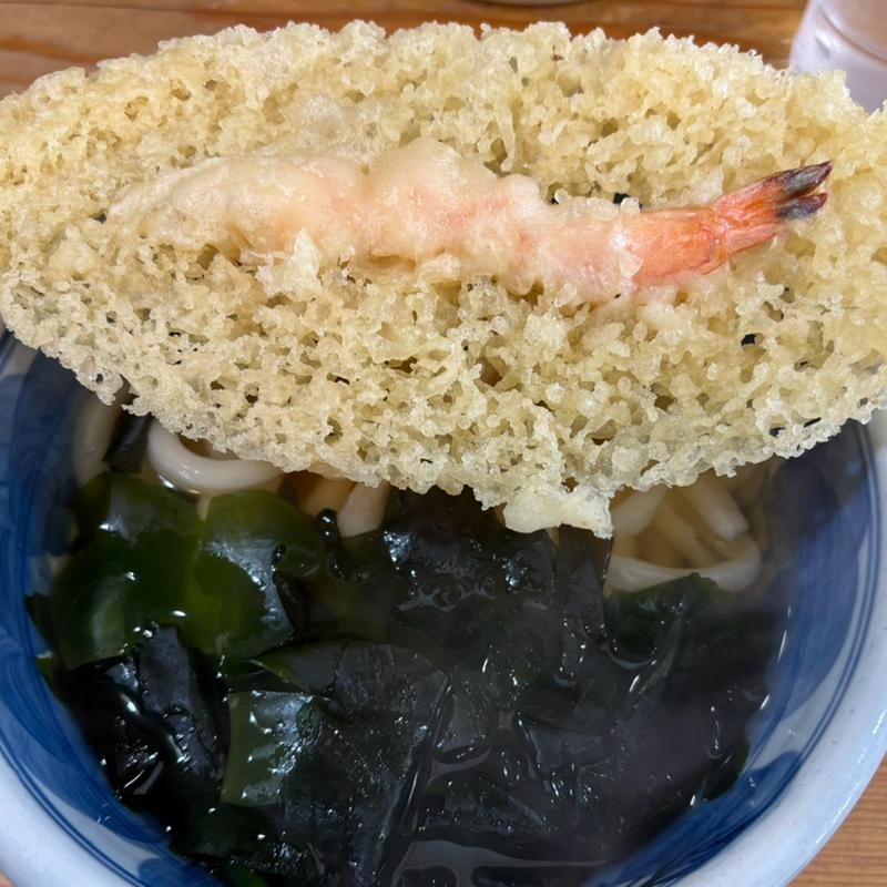 天ぷらうどん 小(手打うどん 渡辺 （わたなべ）)