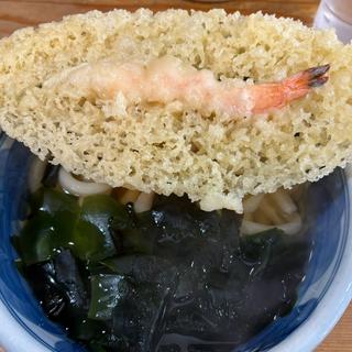 天ぷらうどん 小