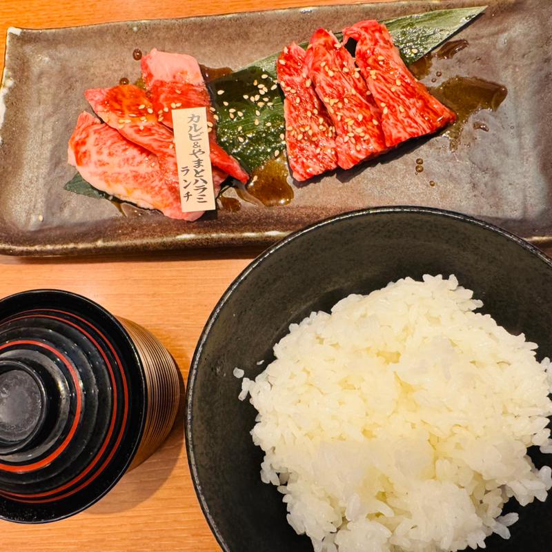 カルビ&ハラミランチ定食(黒毛和牛と完全個室 焼肉やまと 船橋店)