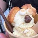 アイスクリーム スクープ ドリアン