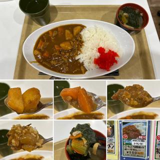 ゴロゴロ野菜のポークカレー
