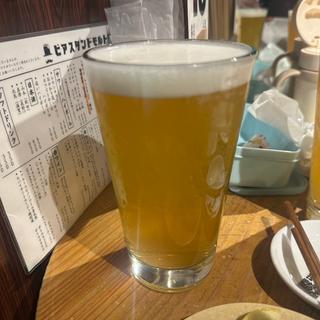 早雲(反射路ビア)(BEER STAND molto!! 阪急三番街店)