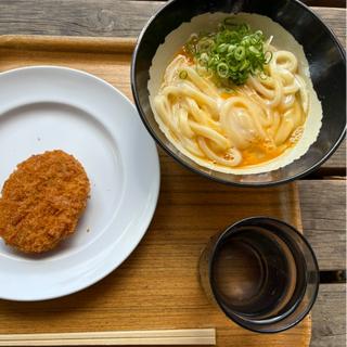 かまたま小とコロッケ