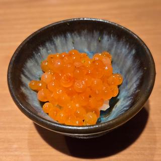 新いくら味噌漬け(築地青空三代目 本店 （ツキジアオゾラサンダイメ）)