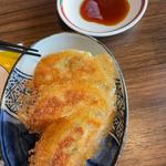 普通の餃子