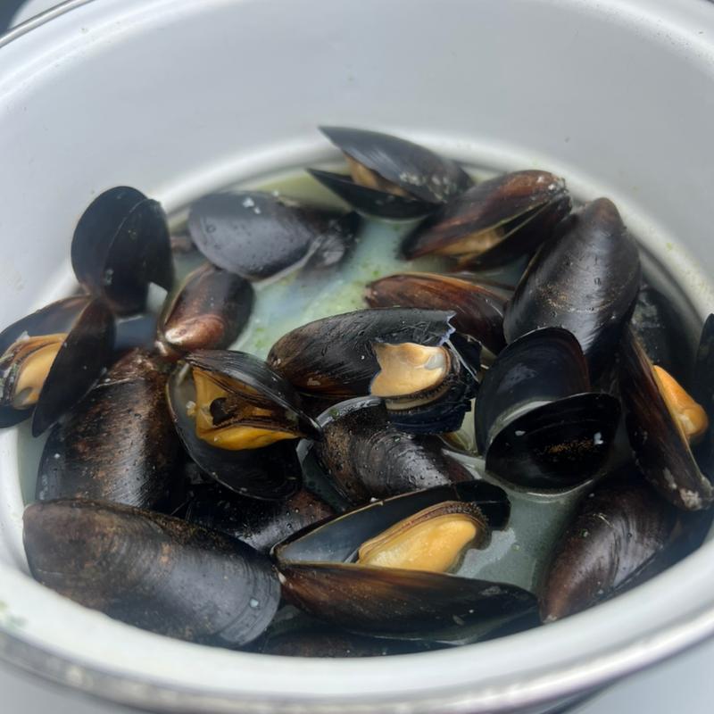 ムール貝 ガーリックバター ハーフ(ベルギーレストラン｢REVIVE – 甦 ｣)