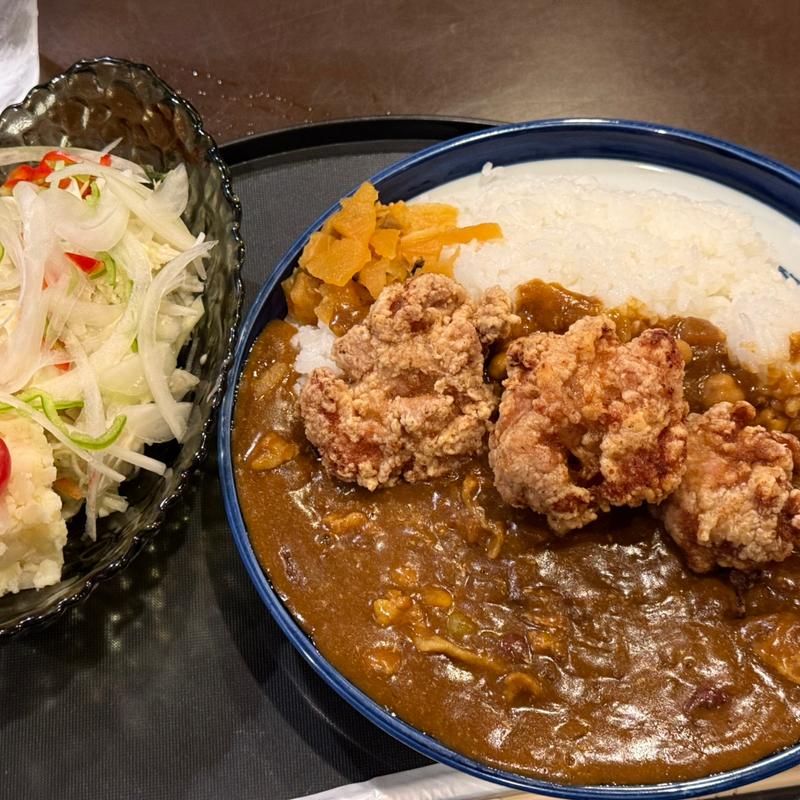唐揚げカレー(春夏秋冬 )