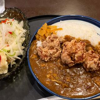 唐揚げカレー(春夏秋冬 )