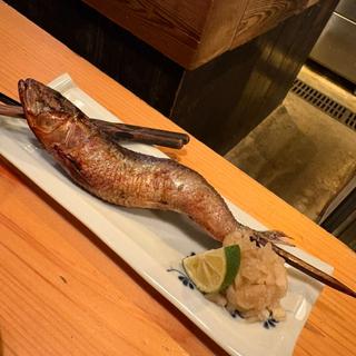 とろイワシの原始焼き(うお輝)